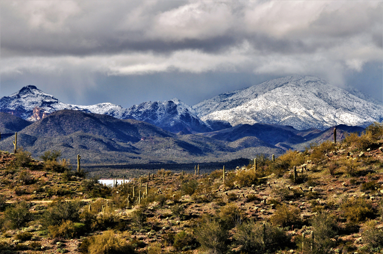 snow-capped mtns